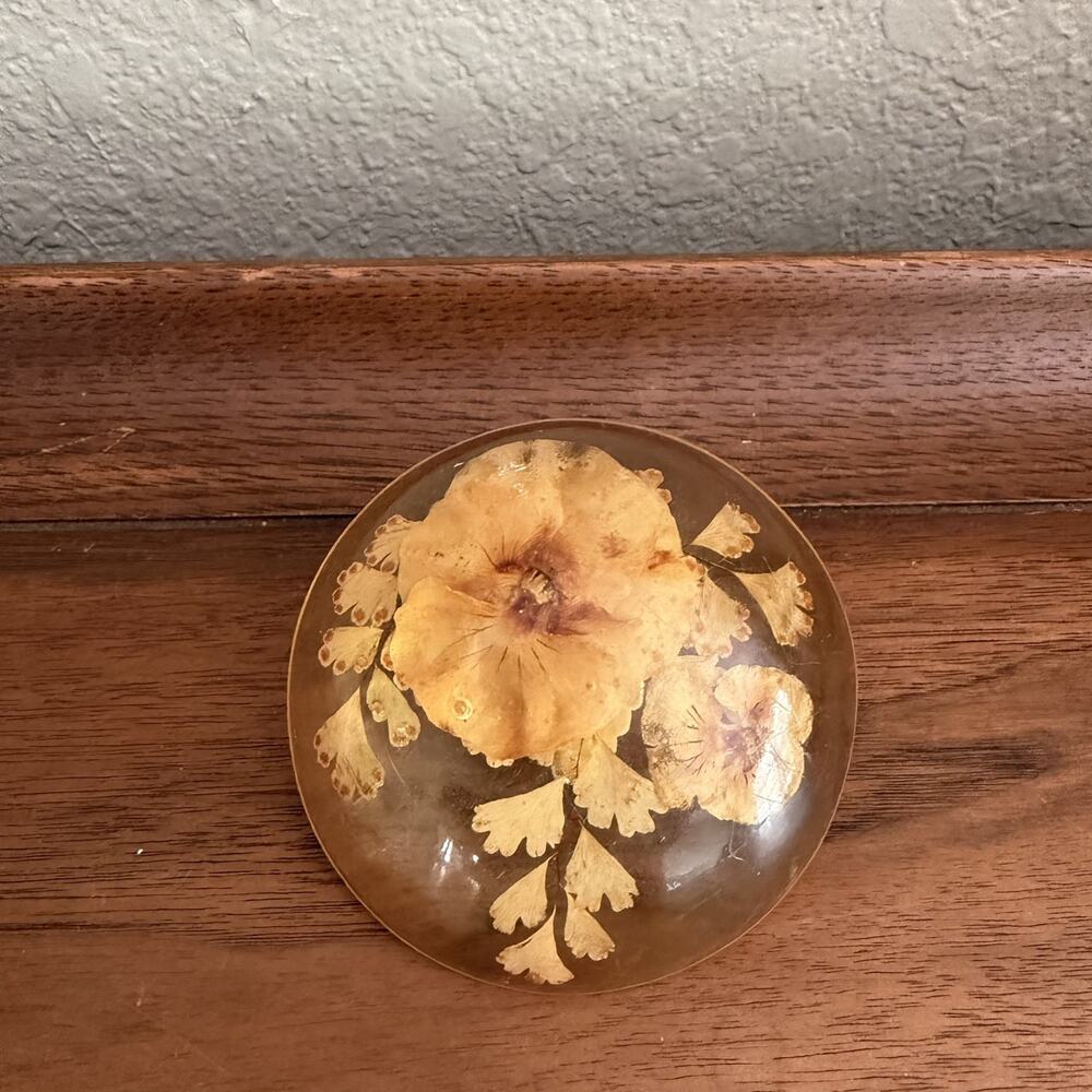 VTG 1960s Pansies Lucite Plug In Night Light Pressed Dried Flower Floral Dome 3D